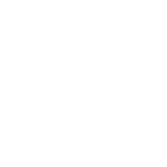 icon 800×800